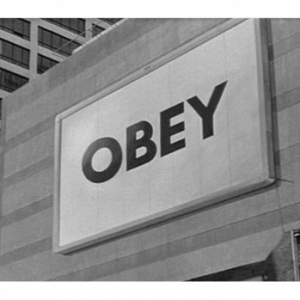 Obey
