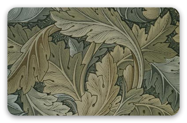 Acanthus