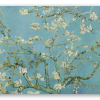 Almond Blossom