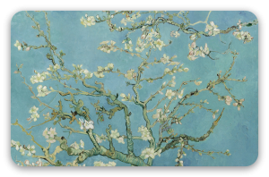 Almond Blossom