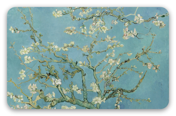 Almond Blossom