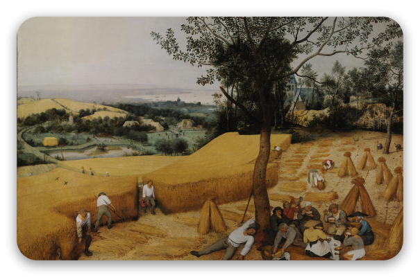 The Harvesters