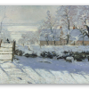 The Magpie