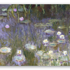 Water Lilies