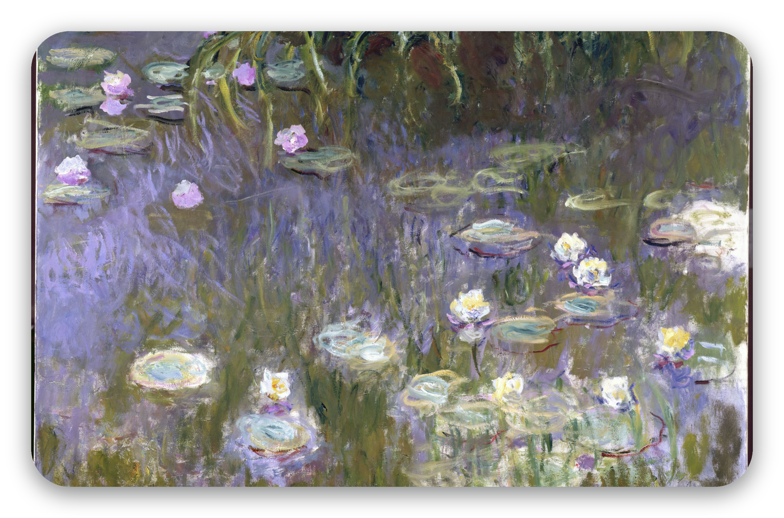 Water Lilies