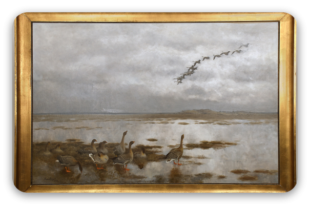 Wild Geese