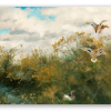 Goosander