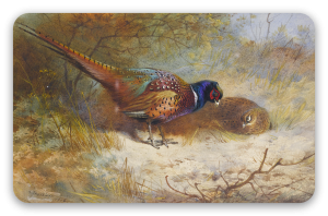 Pheasants