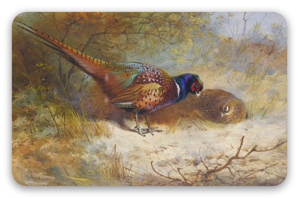 Pheasants