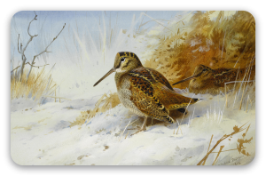 Woodcock