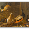 The Poultry Yard