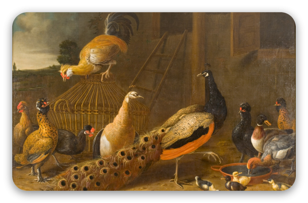 The Poultry Yard