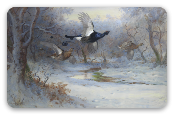 Grouse in Flight