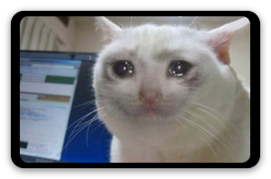 Cry cat