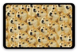 Doge