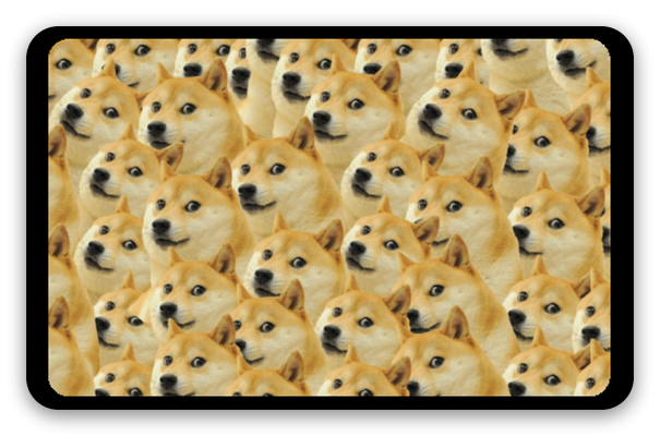 Doge