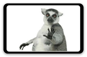 Lemur