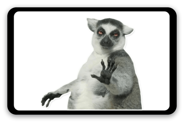 Lemur