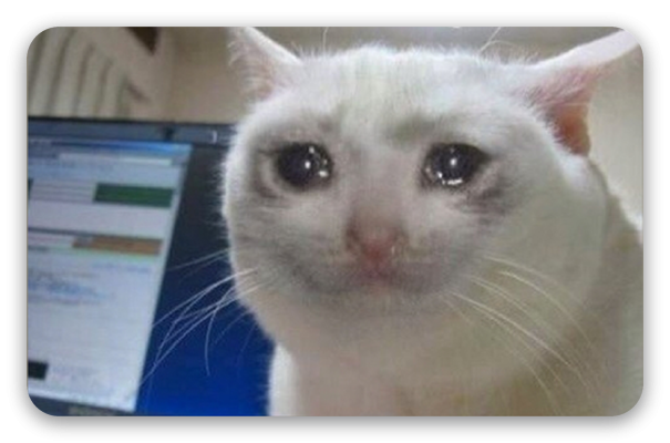 Cry cat