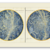 The Northern and Southern Skies