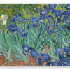 Irises