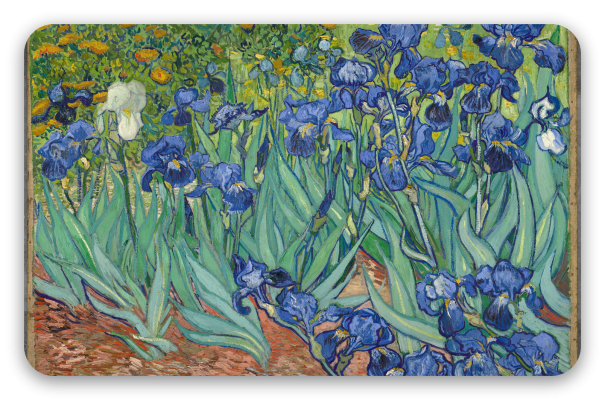 Irises