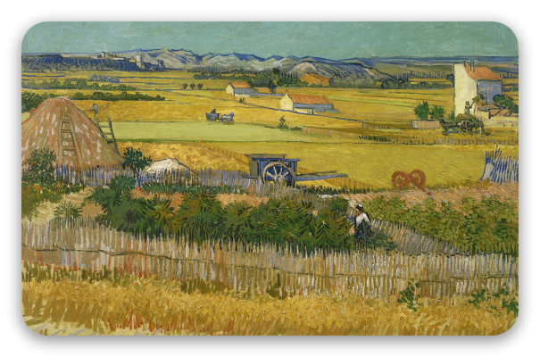 The Harvest