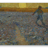 The Sower