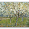 The Pink Orchard