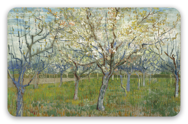 The Pink Orchard