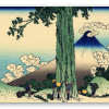 The Mishima Pass