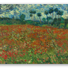 Poppy Field