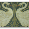 Swans