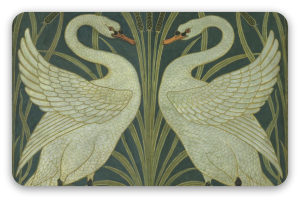 Swans