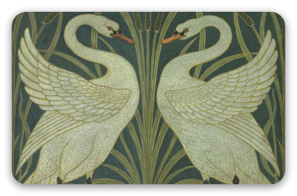 Swans