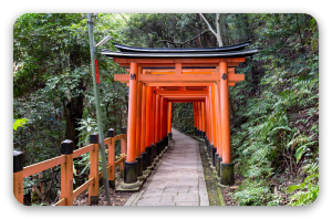 Torii Gates of Kyoto