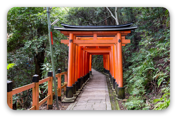 Torii Gates of Kyoto