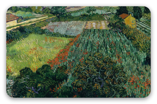 Vincent van Gogh Field with Poppies (June 1889)