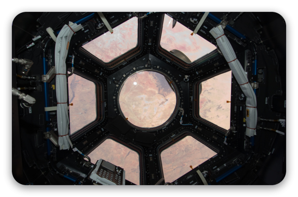 The Cupola View