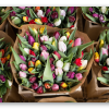 Tulips at the Flower Market