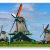 Windmills on the Zaan