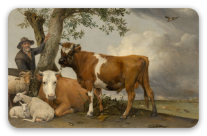 The Bull