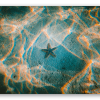 Starfish